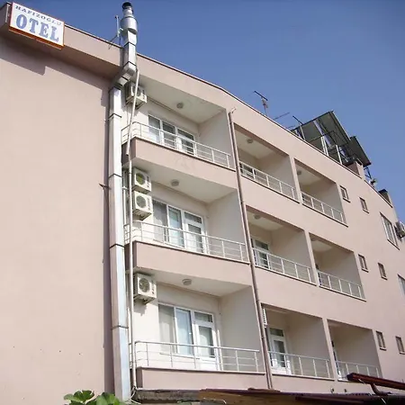 Hafizoglu
